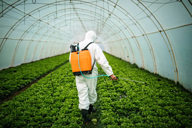 Best Pest Prevention Services  in Inwood, NY