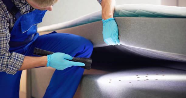 Best Flea Control Services  in Inwood, NY